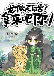 龙傲天后宫怎么为我打起来了