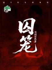 囚笼（女尊gb）
