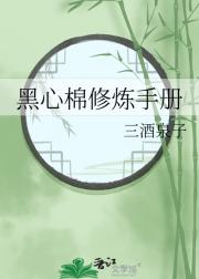 黑心棉修炼手册