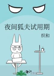狐狸先生