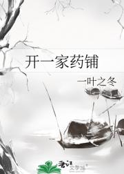 开一家药铺
