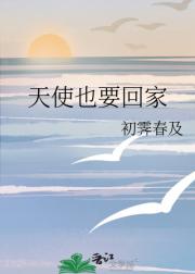 天使也要回家