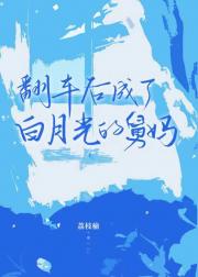 翻车后成了白月光的舅妈