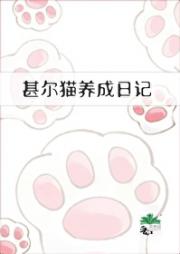 甚尔猫养成日记