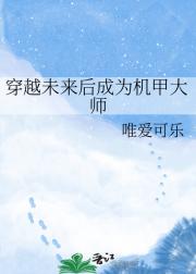 穿越未来后成为机甲大师