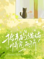 捡来的猫猫恃宠而骄