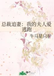 总裁追妻：我的夫人爱逃跑