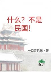 什么？给他干到民宪元年了？！