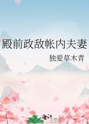 殿前政敌帐内夫妻