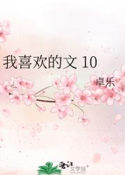 我喜欢的文 10