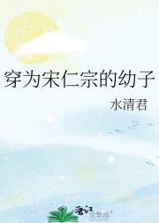 穿为宋仁宗的幼子