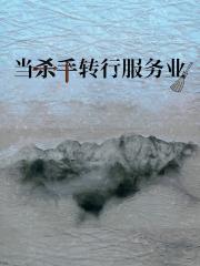 当杀手转行服务业