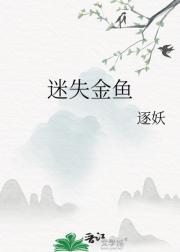 迷失金鱼