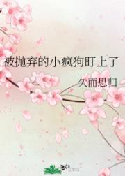 被抛弃的小疯狗盯上了