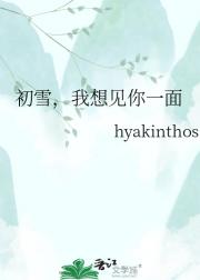 初雪，我想见你一面