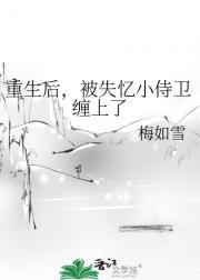 重生后，被失忆小侍卫缠上了