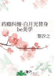 药瘾纠缠·白月光替身be美学