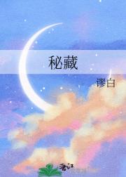 秘藏