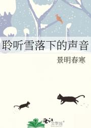 聆听雪落下的声音
