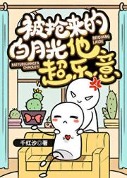 被抢来的白月光他超乐意