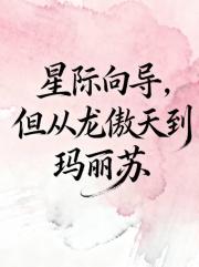 星际向导，但从龙傲天到玛丽苏