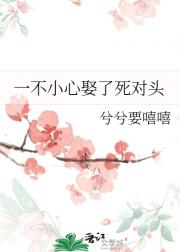一不小心娶了死对头