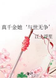 摄政王的小心肝