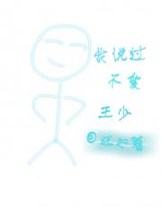 我说过不爱王少