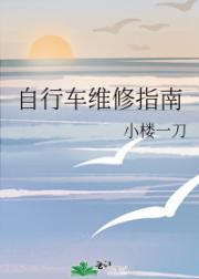 自行车维修指南