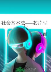 社会基本法——芯片时代