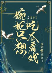 婉妃只想吃瓜看戏[清穿]