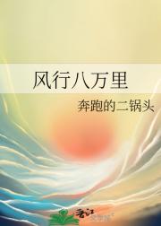 风行八万里