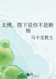 太傅，陛下说你不是断袖