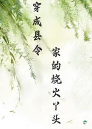 从烧火丫头到钦差夫人