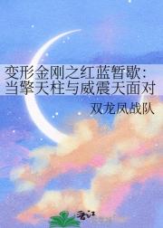 变形金刚之红蓝暂歇：当擎天柱与威震天面对