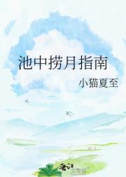 池中捞月指南