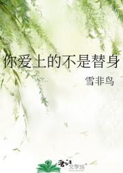 你爱上的不是替身