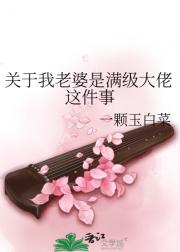 关于我老婆是满级大佬这件事