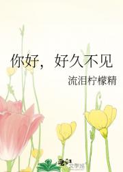 你好，好久不见