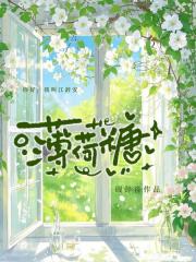 薄荷糖的夏天