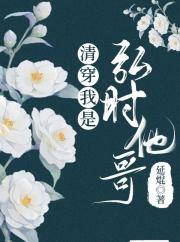 清穿我是弘时他哥