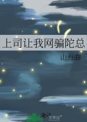 上司让我网骗陀总