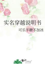 实名穿越说明书