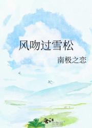 风吻过雪松
