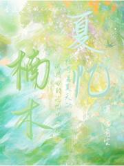 夏忆楠木