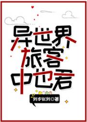 异世界旅客中也君