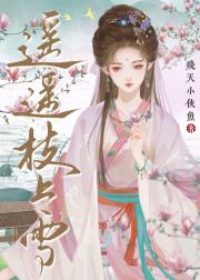 遥遥枝上雪