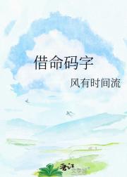 借命码字