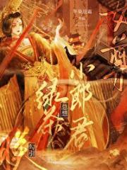 朕的养夫手札（女尊）