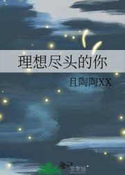 理想尽头的你